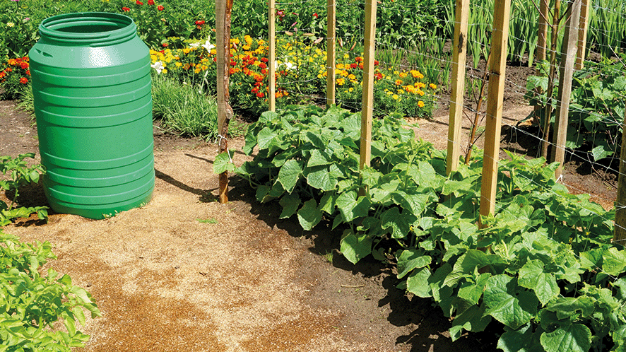 water butt in allotment