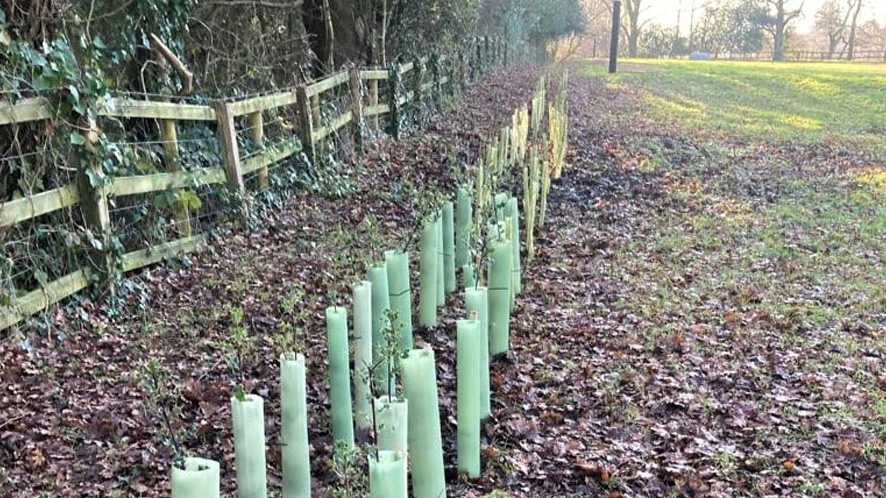 Bournemouth Water celebrates National Tree Week after planting over 2,300 trees- image
