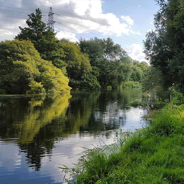 River Stour in Bournemouth 