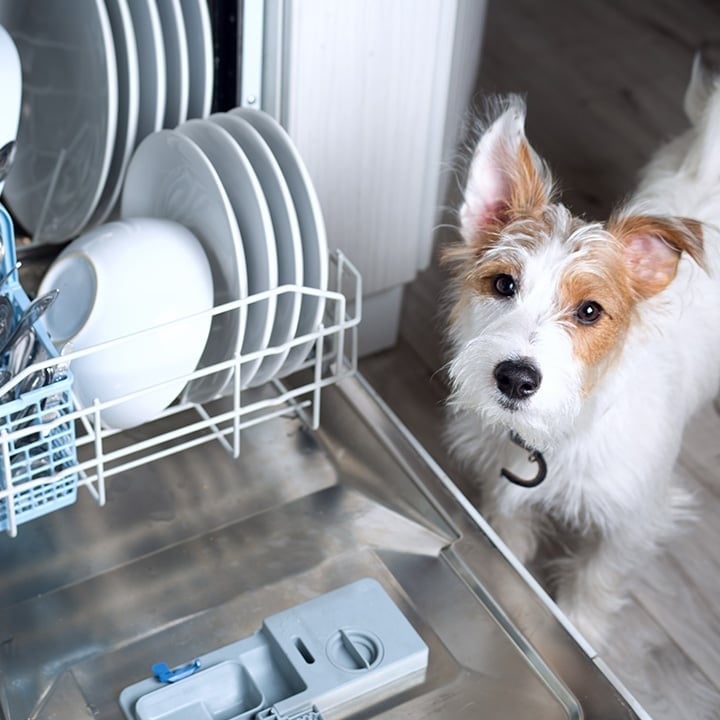 dog-washing-machine.jpg